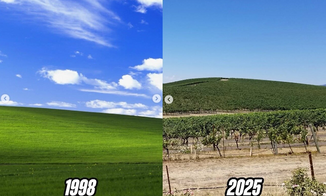 윈도XP의 배경화면이었던 '블리스'. 사진=인스타그램 캡처