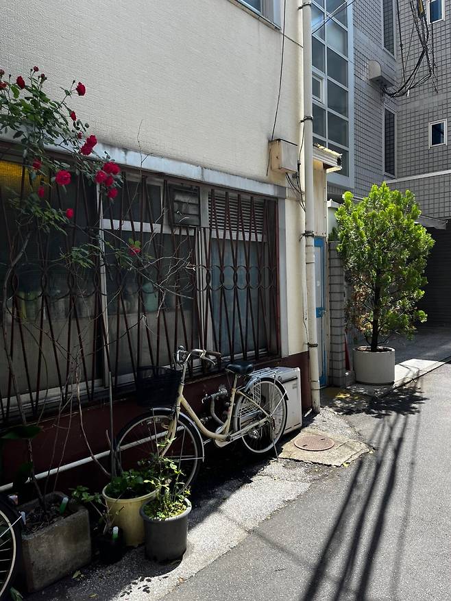 KakaoTalk_20250508_150946415_01.jpg 골든위크에서 살아남기 -3