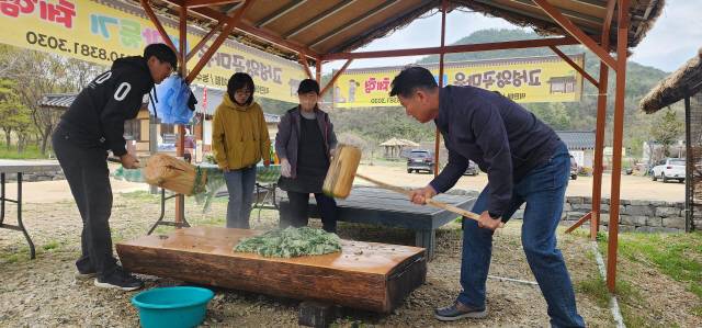 ▲ 왕곡마을 체험장에서 떡메를 힘차게 내리치며 맛난 쑥떡을 만들고 있다.