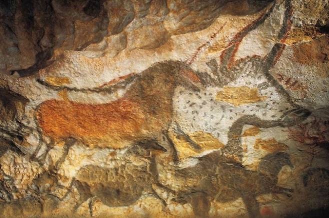 저자는 선사시대 인류가 남긴 고고학 유적들을 토대로 통념이 돼버린 문명 발전 담론을 반박하고 있다. 사진은 가장 오래된 회화로 알려진 스페인 알타미라 동굴의 벽화. 위키미디어 커먼스