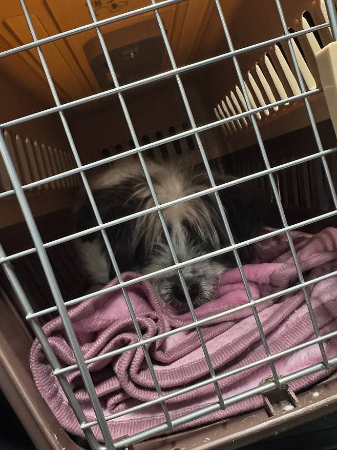 IMG_8471.jpeg 이동봉사 후 산책, 엄니랑 산책 다녀왔슴니다