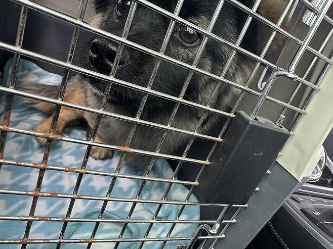 IMG_8467.jpeg 이동봉사 후 산책, 엄니랑 산책 다녀왔슴니다