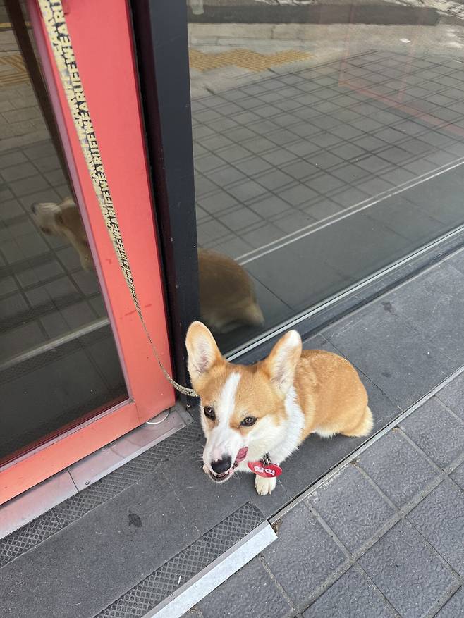 IMG_8474.jpeg 이동봉사 후 산책, 엄니랑 산책 다녀왔슴니다