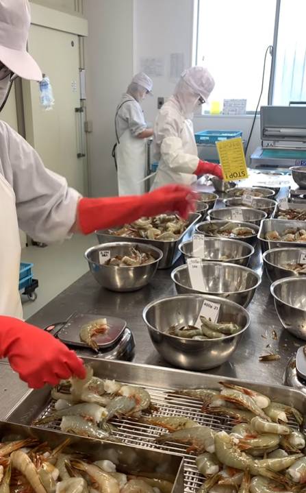 매달 싫은 업무를 정해서 그 달에 해당 업무는 절대 할 수 없게 강제했다. 인스타그램