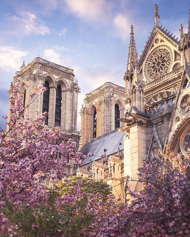 프랑스 파리 노트르담 성당 / 사진 = 모요사