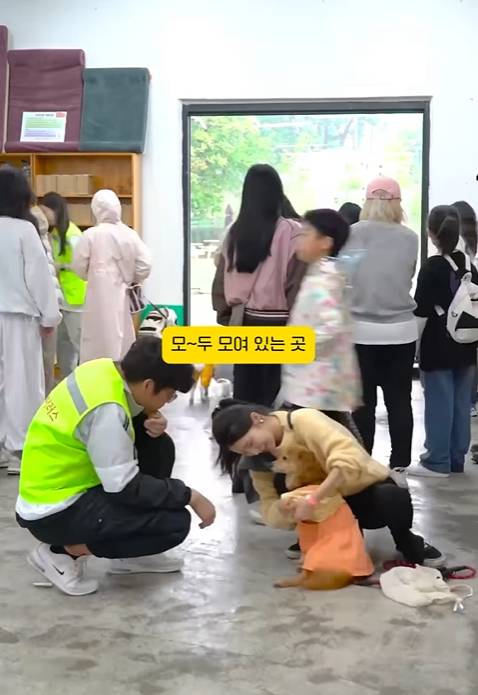 /사진=핌피바이러스, 인스타그램(@pimfyvirus)