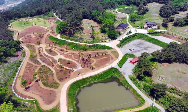 화순군수 외가 문중 땅에 조성된 꽃단지 (화순=연합뉴스) 천정인 기자 = 11일 전남 화순군 춘양면 대신리 일대 관광 꽃단지가 조성돼 있다. 해당 부지는 구복규 현 화순군수의 외가 문중 땅으로 알려지면서 특혜 의혹이 일었다. 2025.5.11 iny@yna.co.kr