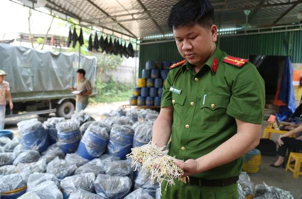 약품으로 키운 숙주 나물을 들어보이는 베트남 공안. /베트남 공안