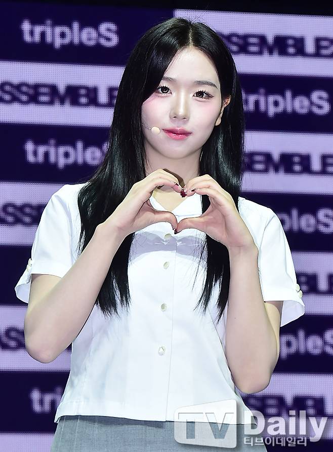 티브이데일리 포토