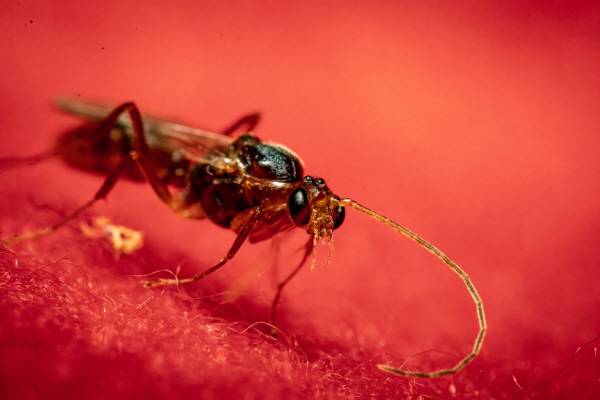 (사진=게티이미지)