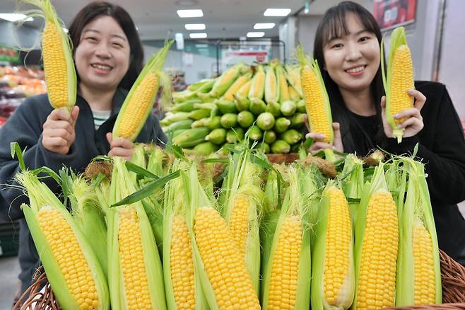 (롯데마트와 슈퍼 제공).