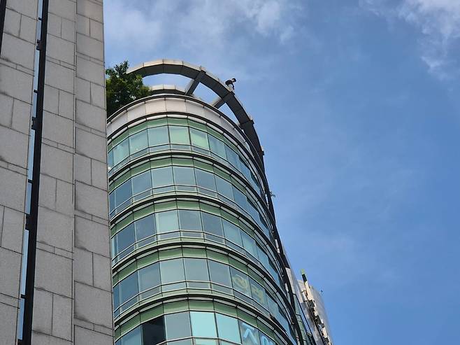 13일 서울 강남역 인근 빌딩 옥상 난간에 한 남성이 올라가 있다. /뉴스1