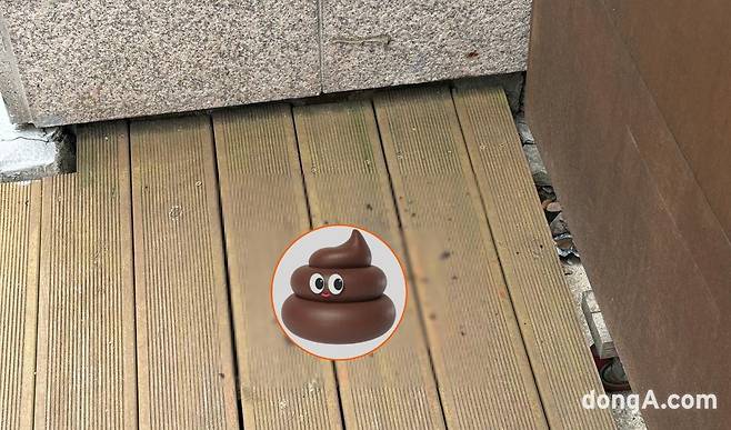 독자 여러분의 시각적 불편을 줄이기 위해 해당 이미지는 CG(컴퓨터 그래픽)로 보완하였습니다. (사진=살금마카롱 제공)