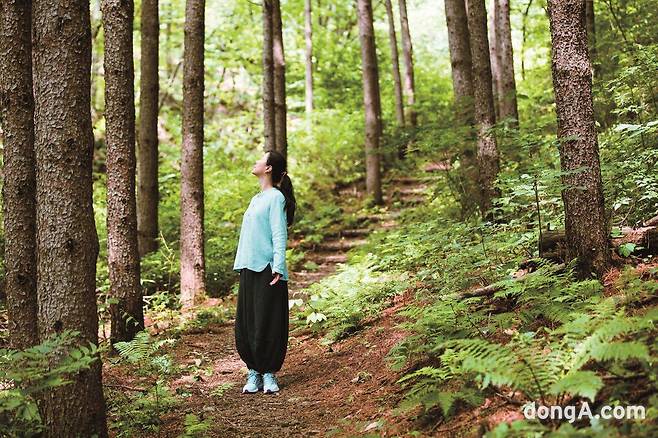 치유의 숲 종자산을 거닐며 자연과 호흡하는 ‘숲 테라피’.