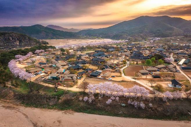 사상최악의 산불로 피해를 입은 안동하회마을 풍경. /한국관광공사 제공