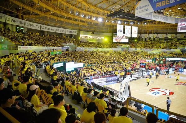 11일 창원 엘지(LG)의 창단 첫 우승을 기원하며 창원체육관을 찾은 팬들. 한국농구연맹 제공