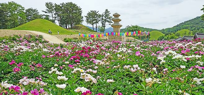 서악동 삼층 석탑 작약. /경주시 제공