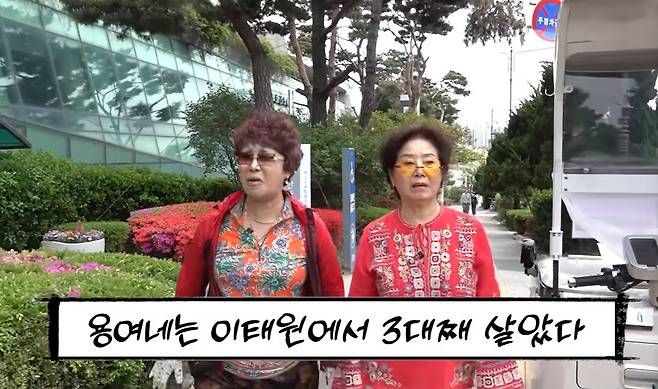 유튜브 선우용여