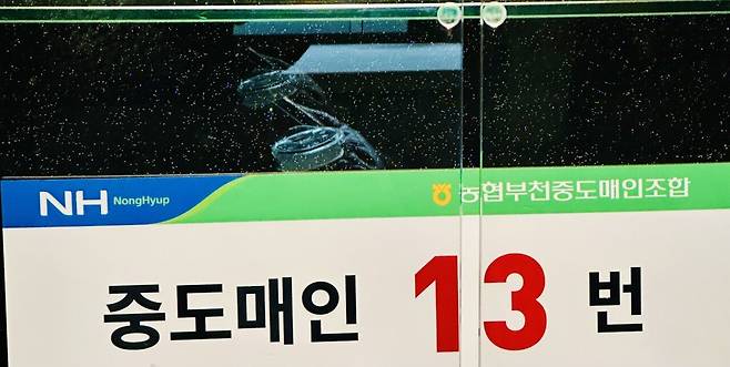 IMG_3988.jpeg 마장동을 떠나 이제 신사동에서 한우로 배채우기