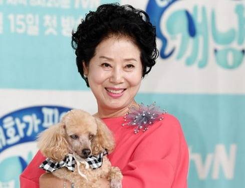 배우 선우용여. /사진=텐아시아 DB