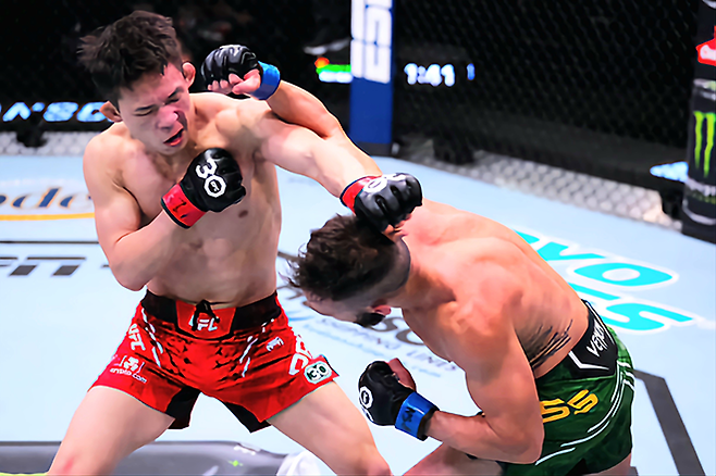 RTU 시즌1 토너먼트 우승자 박현성이 2023년 12월 미국 네바다주 엔터프라이즈 UFC on ESPN+ 91 플라이급 경기에서 주먹이 빗나가고 있다. 사진=TKO