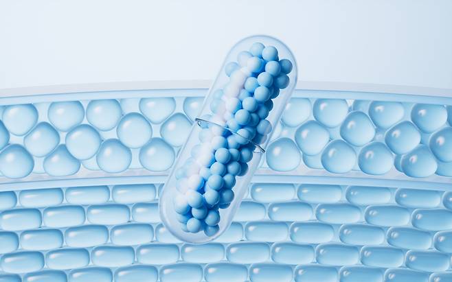 사진은 기사 내용과 직접적 관련 없음. /사진=게티이미지뱅크