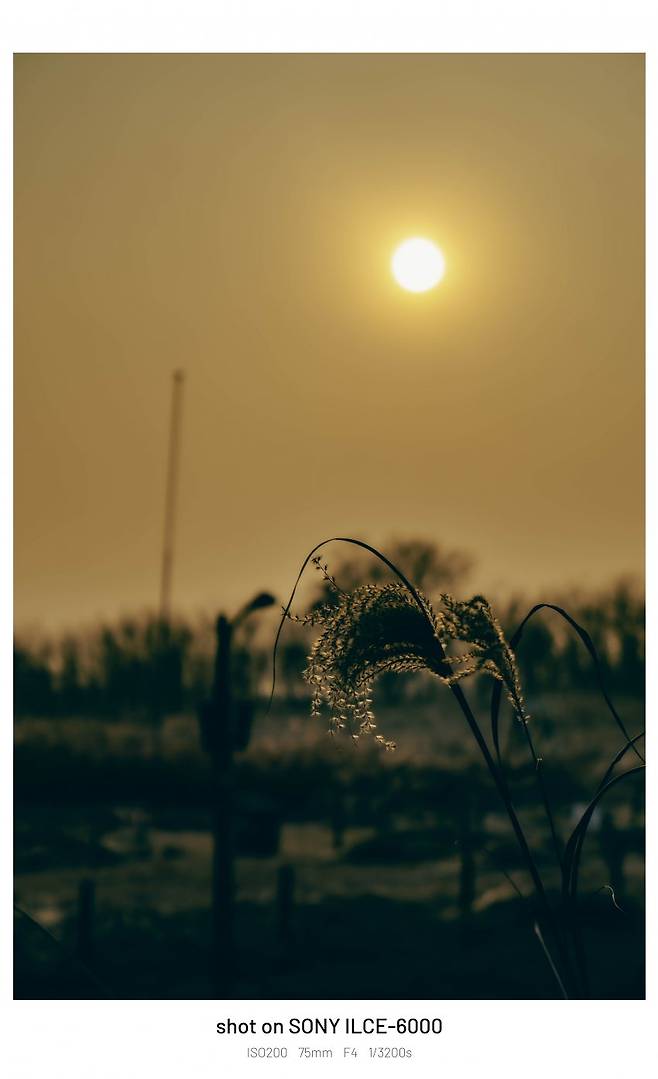 7cea8471b6816df73dea80ed4e9f2e2d454e7e7e88a74e3cdc4e918b4bb8