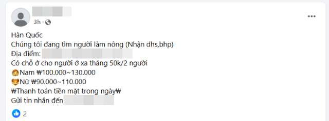 13일 한국에서 공부하는 베트남 유학생들이 가입한 페이스북 그룹에 농장에서 일할 사람을 구한다는 게시글이 올라와 있다. '유학생, 불법 체류자도 가능하다'고 적혀 있다. 페이스북 캡처