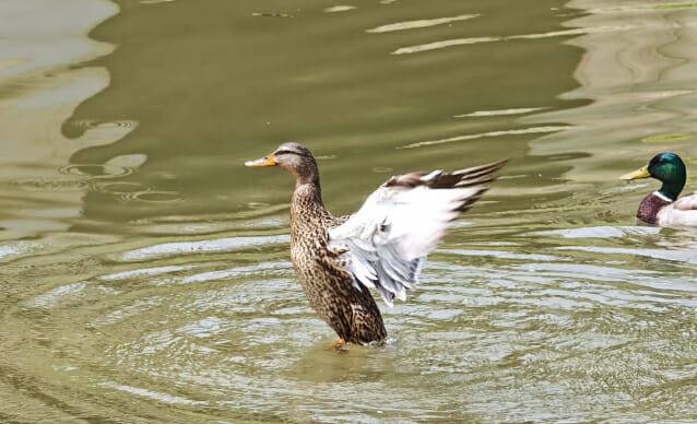 기자가 샤오미 15 울트라로 찍은 사진 (사진=지디넷코리아 신영빈 기자)