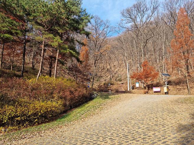 동림산 산림욕장은 전동면의 또 다른 트래킹 장소로 가볼만하다. 사진=중도일보 DB.