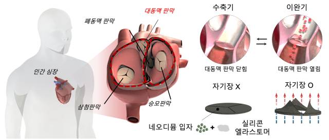 박윤석 경희대학교 교수 연구팀이 개발한 '고정밀 심혈관 시뮬레이터' 설명도.한국연구재단 제공
