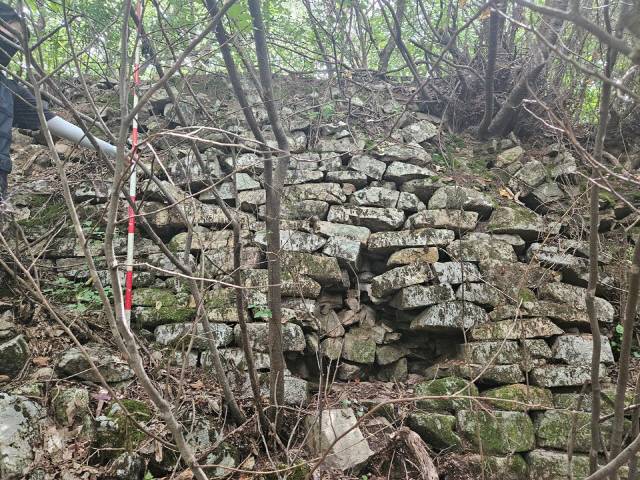 ▲ 횡성 갈풍리산성 북서쪽 구간에는 10단 정도의 석축부가 남아있어 발굴조사와 복원이 필요하다는 의견이 제기되고 있다.