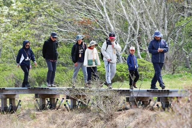 ▲ 인제 대암산 용늪 생태탐방이 최근 재개돼 재개 후 첫 주말·휴일인 지난 18일 탐방객들이 4000여년에 걸쳐 형성된 자연의 숨결을 만끽하고 있다. 대암산 용늪은 해발 1280m에 자리한 우리나라에서 유일한 고층 습원이며 여러 희귀 동식물이 서식하고 있으며 ‘이탄습지 지형’이 잘 보존돼 있다. 인제군 제공