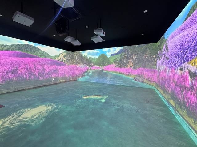 ▲ 해꿈빛마루도서관의 ‘실감형 체험관’과 ‘AR BOOK존’.