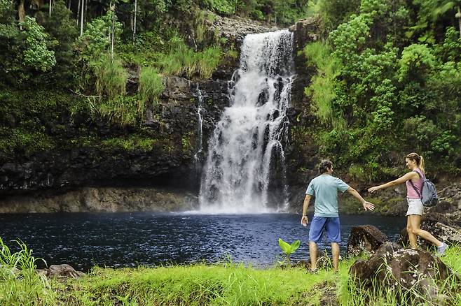 노르웨지안 크루즈라인의 하와이 4개섬 여행