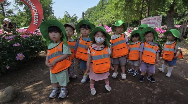 20일 영천시 스타어린이집 원생들이 화북면 자천리 작약꽃밭을 찾아 자연 체험을 하고 있다. 권오석 기자