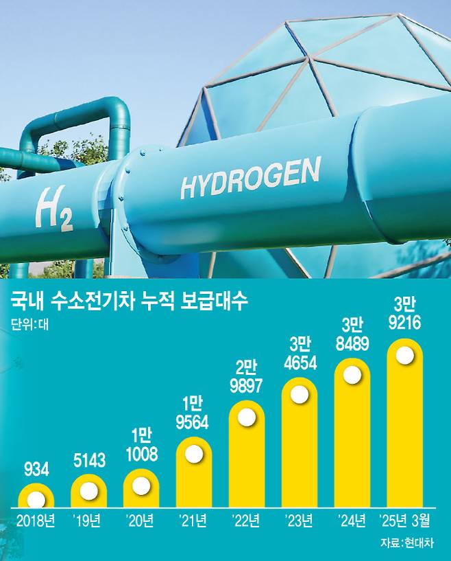 (그래픽=이데일리 이미나 기자)