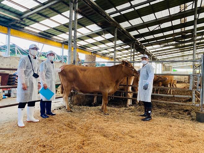 경기도가 오는 6월3일까지 '제57회 경기도 한우경진대회'에 참가할 한우를 모집한다. /사진제공=경기도