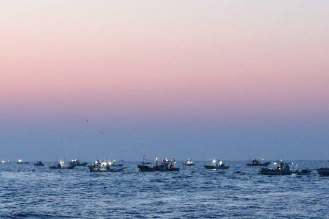 동해안 최북단 저도어장에서 조업을 하고 있는 어선들. 속초해양경찰서 제공
