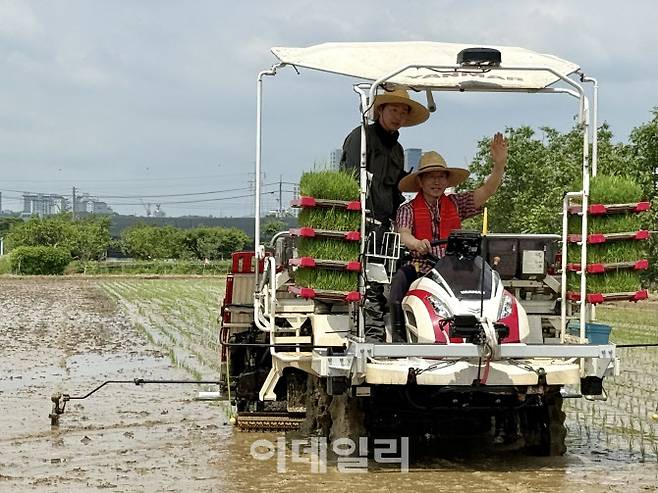 김문수 국민의힘 대선 후보가 직접 전동 이양기를 몰며 모내기를 하고 있다.(사진 = 이데일리 김한영 기자)