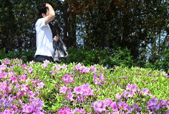 ▲ 21일 오전부터 고온다습한 남풍이 지속해서 유입되면서 기상관측 이래 가장 더운 5월 아침을 보냈다.