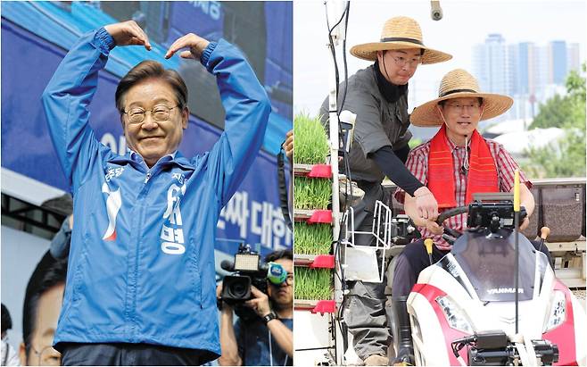 이재명 더불어민주당 대선 후보가 21일 인천 계양역 앞 광장 유세에서 시민들이 적은 소망 쪽지가 붙은 액자를 들어 보이고 있다.(왼쪽 사진). 김문수 국민의힘 후보는 이날 경기 고양 덕양구에서 열린 ‘고양시 청년 농업인 모내기 및 새참 간담회’에 참석해 이양기를 몰고 있다. 두 후보는 19일부터 이날까지 사흘 연속 수도권에서 유세했다./남강호·김지호 기자