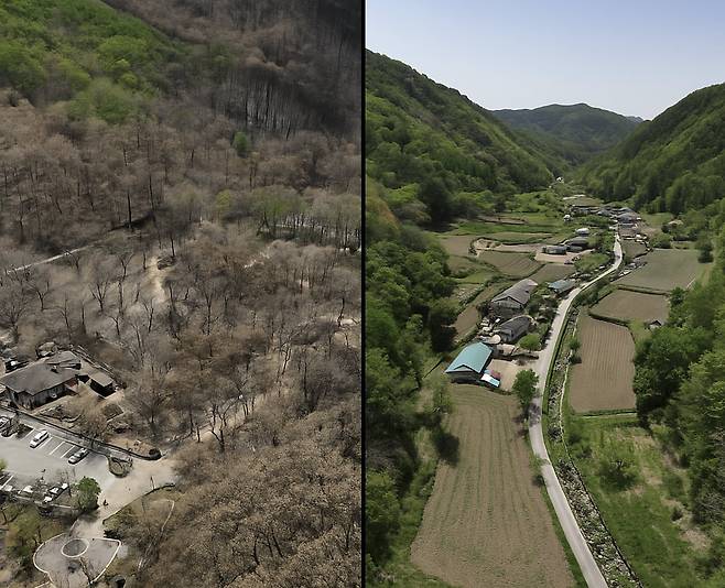 경북 청송군 주왕산 국립공원 인근 달기 약수터(왼쪽), 너구마을(오른쪽). 사진=그린피스