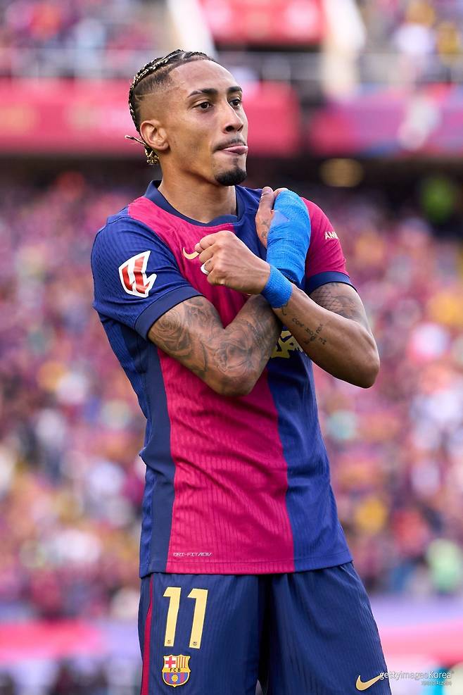 하피냐. 사진=게티이미지코리아