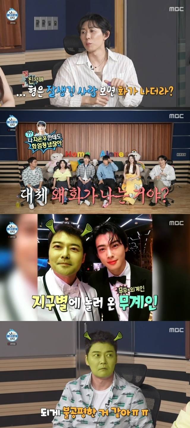 MBC ‘나 혼자 산다’ 캡처