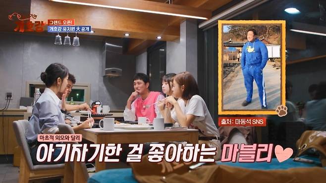 /사진 = '집나가면개호강'