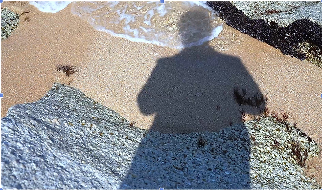 이영돈 감독이 바닷가에서 고뇌하는 모습이 담긴 영화 <부정선거, 신의 작품인가> 속 한 장면. 더콘텐츠메이커 제공