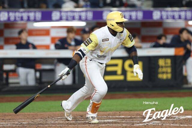 한화 이글스 플로리얼./한화 이글스