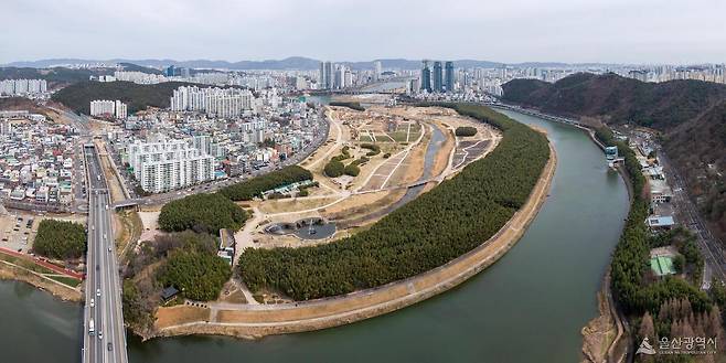 울산 태화강 전경. 울산시 제공