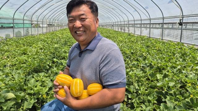 배선호 성주참외산업 혁신추진위원회 회장. 이홍섭 기자